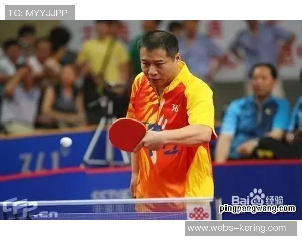 从零基础到高手之路乒乓球力量训练全方位指南 从零基础到高手之路乒乓球力量训练全方位指南